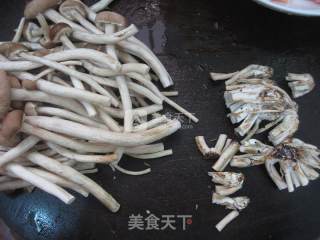 茶树菇炒鸡肉的做法步骤：5