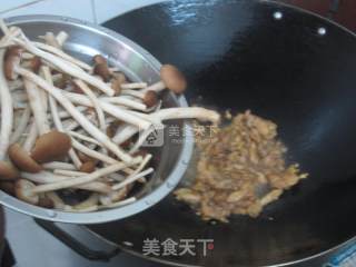 茶树菇炒鸡肉的做法步骤：7