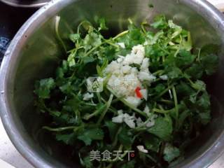 凉拌香菜的做法步骤：3