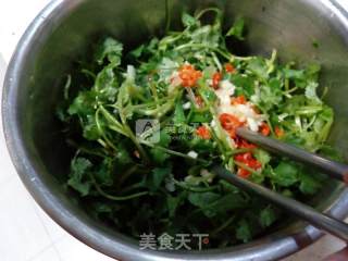 凉拌香菜的做法步骤：5