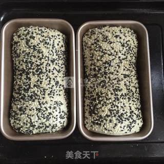 浓香黑芝麻吐司的做法步骤：8
