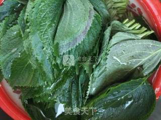 生拌韩式苏子叶的做法步骤：2