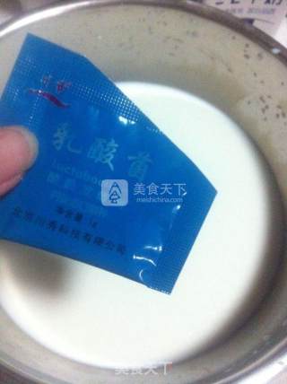 自制火龙果酸奶的做法步骤：2