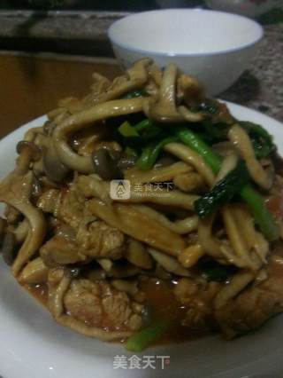 鸡腿蘑炒肉的做法步骤：17