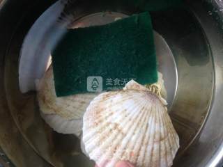 蒸扇贝的做法步骤：2