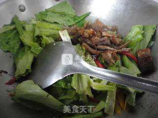 豆豉鲮鱼油麦菜的做法步骤：7