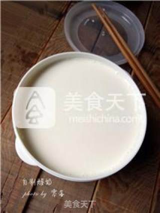 【奔跑吧！肠胃！】自制原味酸奶的做法步骤：5