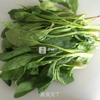 芥末拌菠菜的做法步骤：2