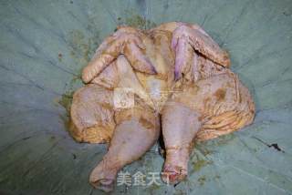 荷香蝴蝶烤鸡的做法步骤：6