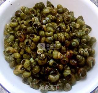 蒜蓉辣酱爆炒田螺的做法步骤：3