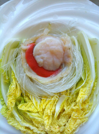 扇贝粉丝蒸娃娃菜的做法步骤：4