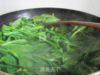清炒菜苔的做法步骤：2