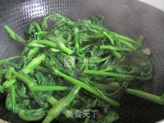 清炒菜苔的做法步骤：4