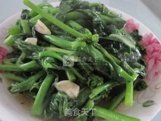 清炒菜苔的做法步骤：5