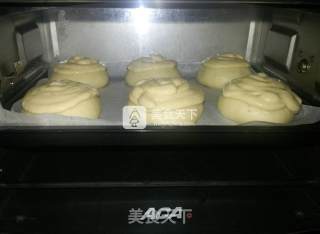 墨西哥豆沙面包的做法步骤：12