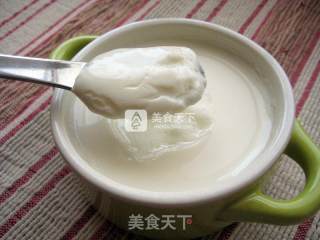 姜撞奶—初春小甜品的做法步骤：15