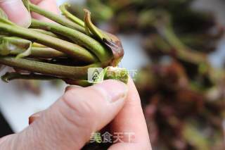 春天的礼物——香椿拌豆腐的做法步骤：2