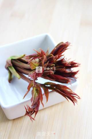 春天的礼物——香椿拌豆腐的做法步骤：13