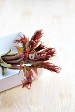 春天的礼物——香椿拌豆腐的做法步骤：15