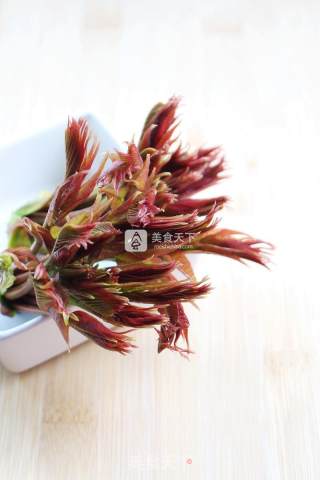 春天的礼物——香椿拌豆腐的做法步骤：16