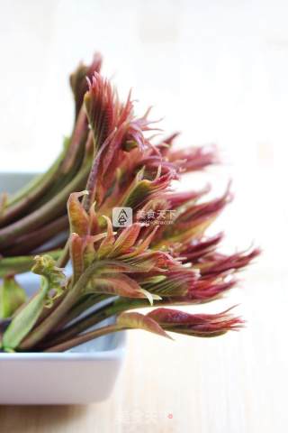 春天的礼物——香椿拌豆腐的做法步骤：18