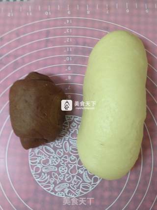 双色吐司的做法步骤：6