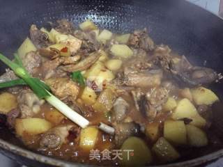 红烧土豆鸡块的做法步骤：5