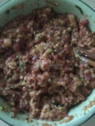 大肉圆的做法步骤：5