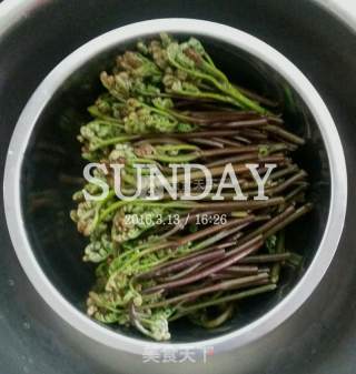贵州蕨菜炒肉的做法步骤：1