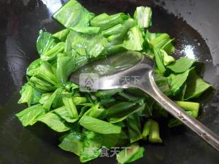 望潮炒菜芯的做法步骤：4