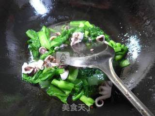 望潮炒菜芯的做法步骤：7
