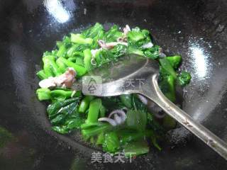 望潮炒菜芯的做法步骤：10