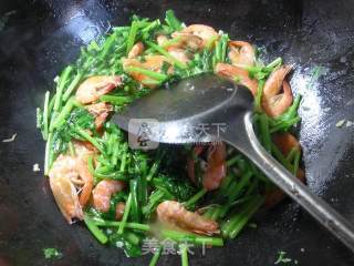 鲜虾炒茼蒿的做法步骤：10