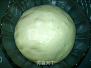 波兰酵头馒头的做法步骤：6