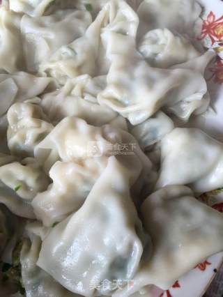 扇贝馄饨的做法步骤：8