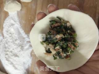 香芹肉包的做法步骤：12