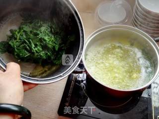 金花菜黑木耳馄饨的做法步骤：8