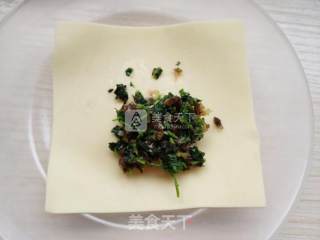 金花菜黑木耳馄饨的做法步骤：15