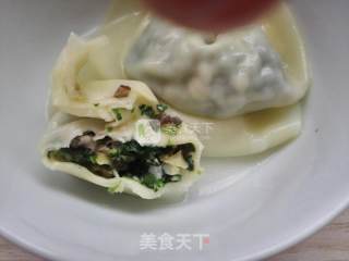 金花菜黑木耳馄饨的做法步骤：19