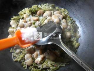 雪菜煮蚕豆芽的做法步骤：6