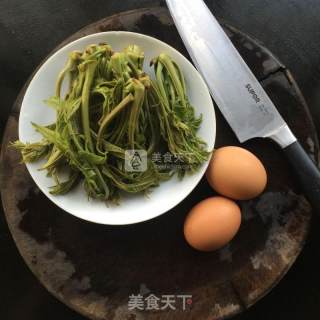 香椿摊鸡蛋的做法步骤：2