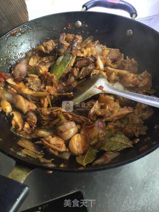 鸡煲的做法步骤：8