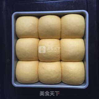 南瓜餐包的做法步骤：6