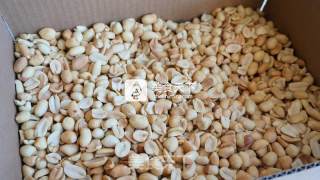 自制原味花生酱的做法步骤：4