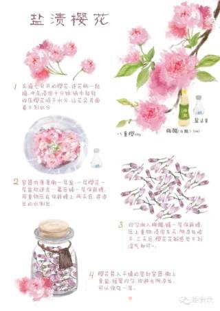 【手绘食谱】盐渍樱花 手造的暖意 任何工业化商品都比不过的做法步骤：5