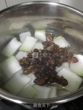 蝉蜕薏米冬瓜水的做法步骤：3