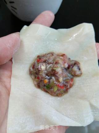 香椿肉馅锅贴的做法步骤：4