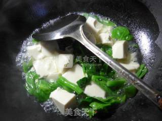菜芯煮豆腐的做法步骤：4