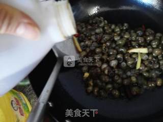 炒太湖螺丝的做法步骤：5