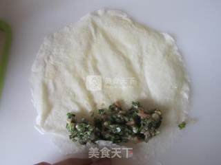 野芹菜春卷的做法步骤：7